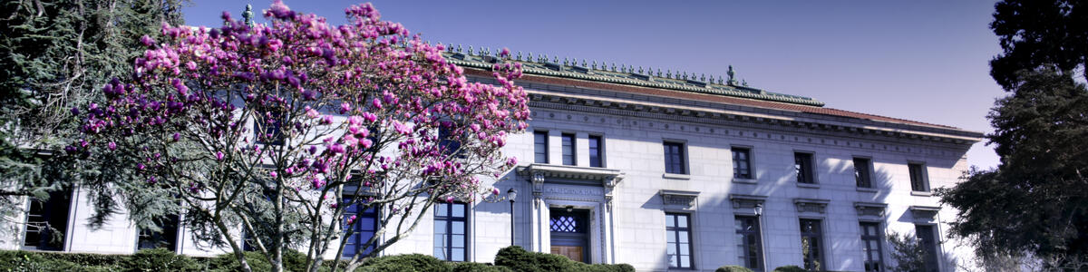 Cal Hall building and Magnolia tree decorative