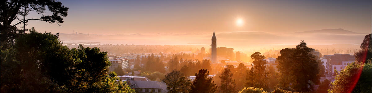 UC Berkeley School of Public Health Employees, Location, Alumni | LinkedIn