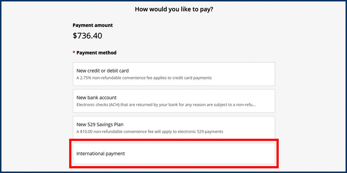 Screenshot of the CashNet Make a Payment page showing the International payment option