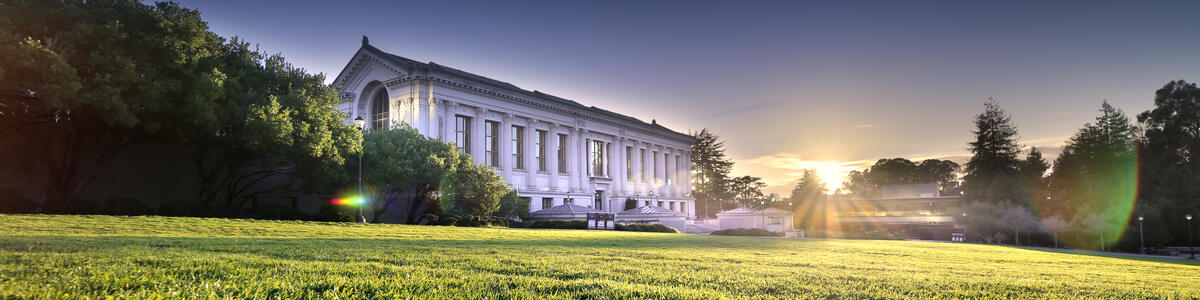 Memorial Glade and Doe Library Sunset decorative